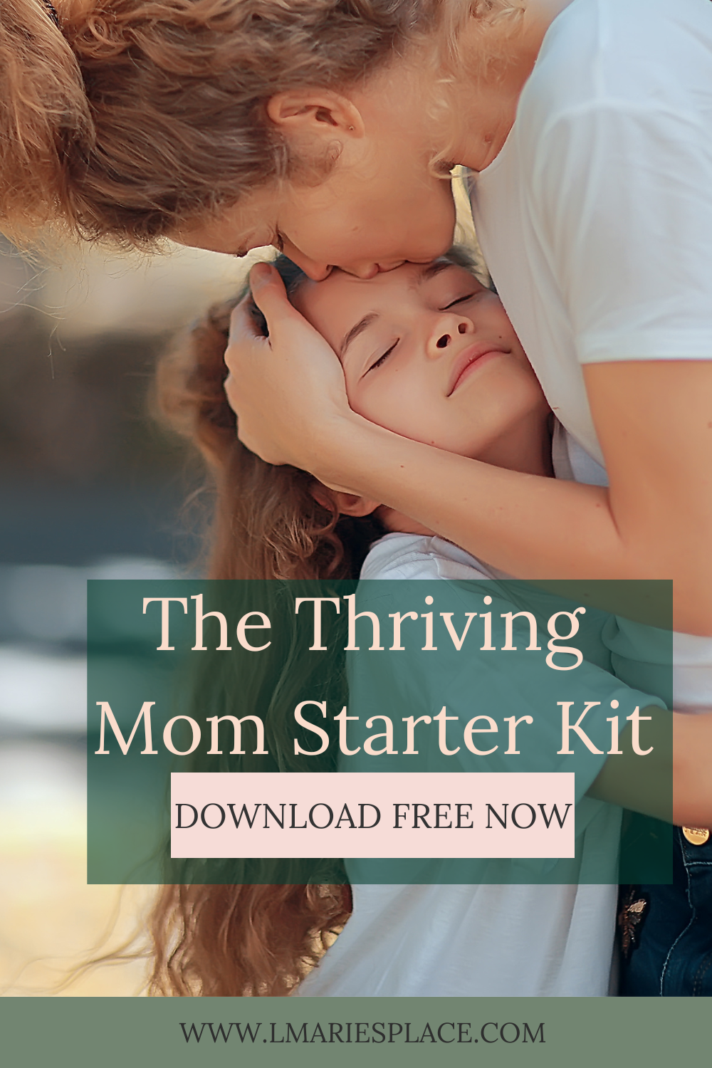 Free Home Management Printable Bundle